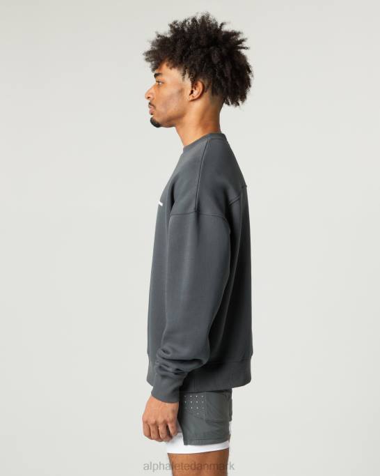 klassisk besætning Mænd Alphalete J8D2633 tøj røg grå