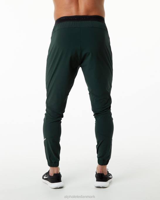 studie bukser Mænd Alphalete J8D2740 tøj jægergrøn