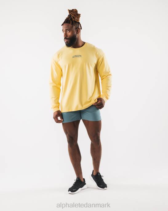aa paisley print ls t-shirt Mænd Alphalete J8D2528 tøj gul
