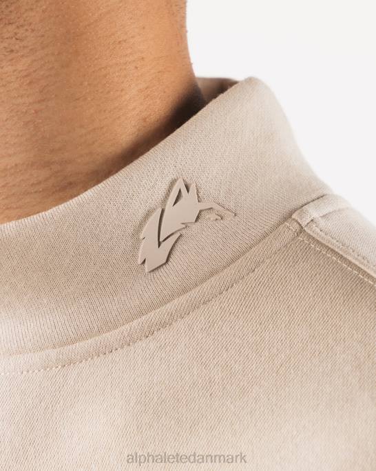 oprindelse mock neck ls Mænd Alphalete J8D2750 tøj havsalt brun