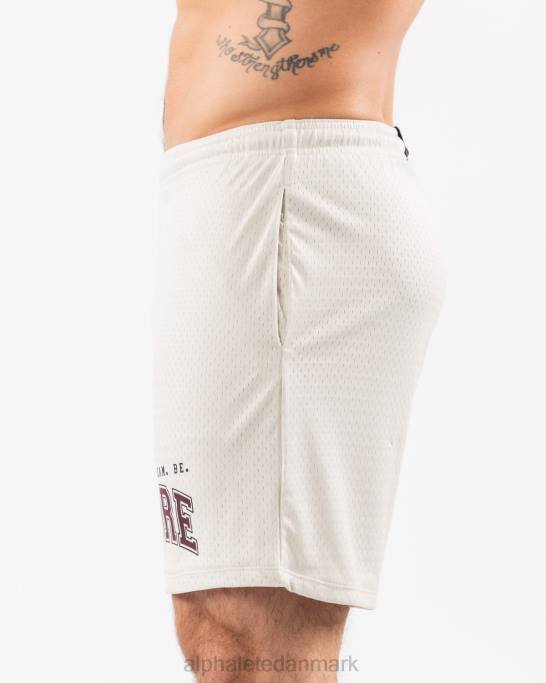 ldb mere mesh kort 6