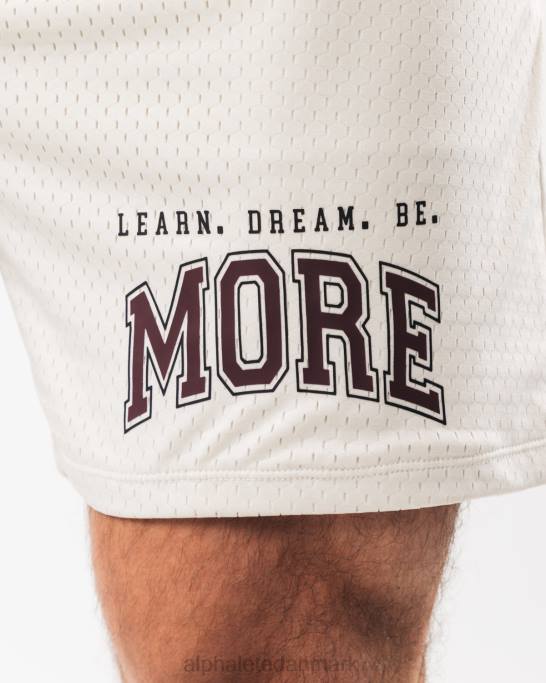 ldb mere mesh kort 6