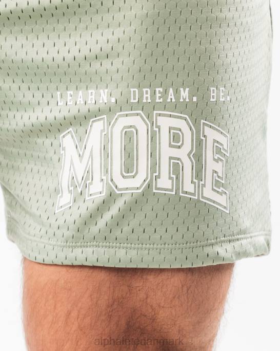 ldb mere mesh kort 6