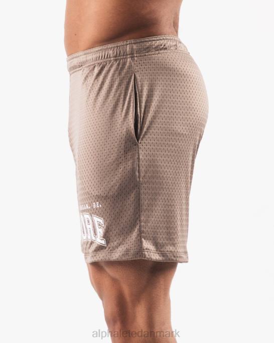 ldb mere mesh kort 6