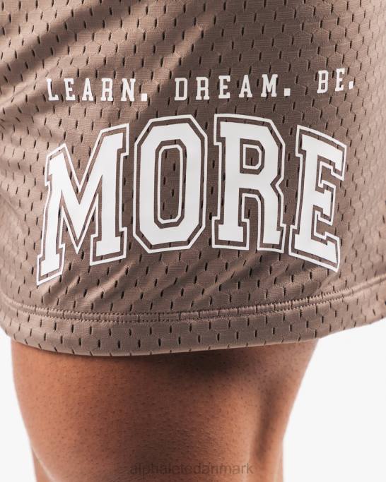 ldb mere mesh kort 6