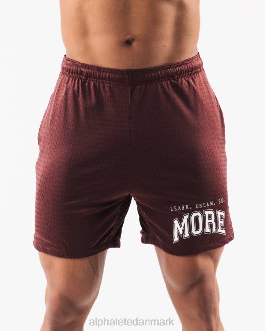 ldb mere mesh kort 6" Mænd Alphalete J8D2669 tøj bordeaux rød
