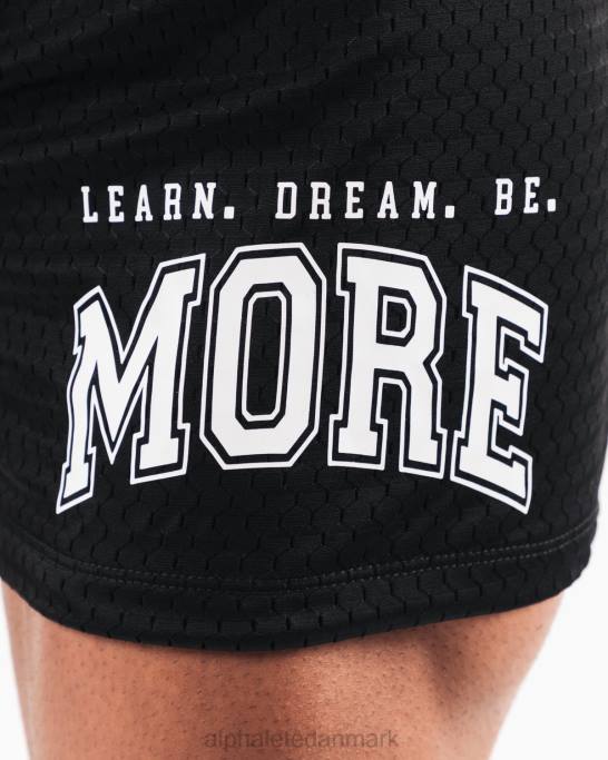 ldb mere mesh kort 6