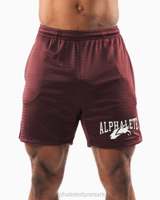 ulvehoved mesh kort 6" Mænd Alphalete J8D2659 tøj sangria rød