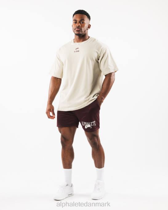 ulvehoved mesh kort 6