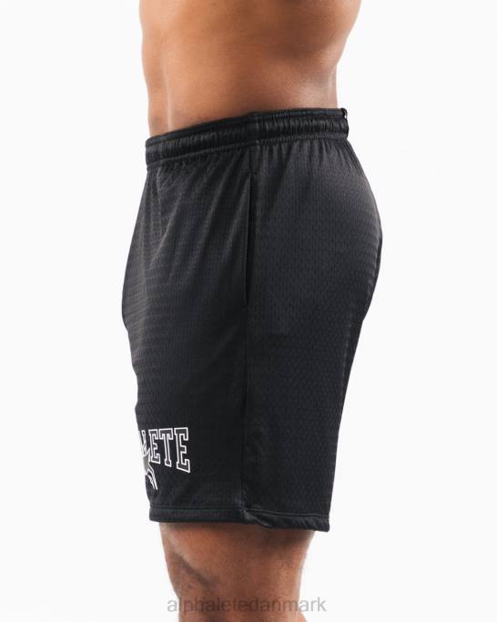 ulvehoved mesh kort 6