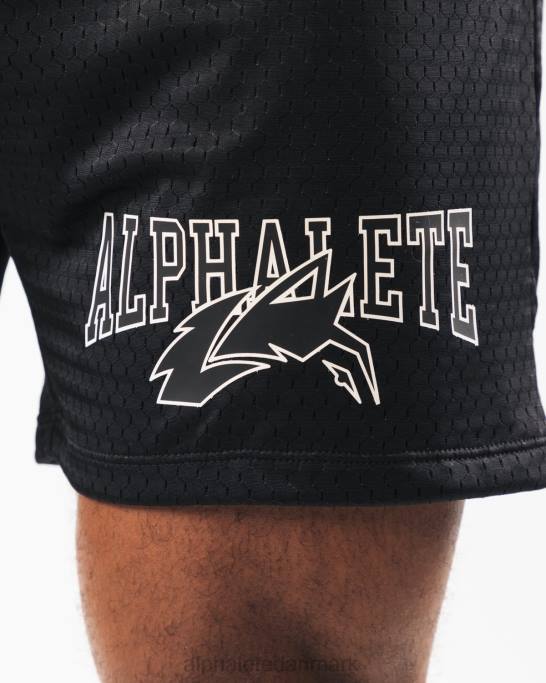 ulvehoved mesh kort 6