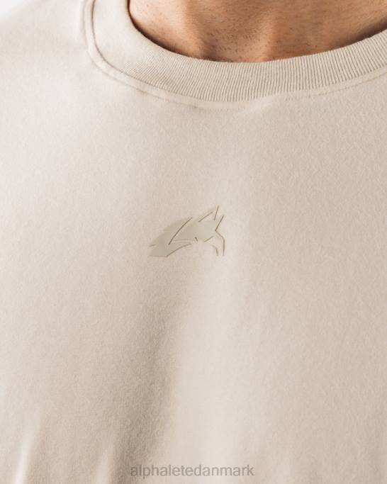 justeret t-shirt Mænd Alphalete J8D2492 tøj havsalt brun