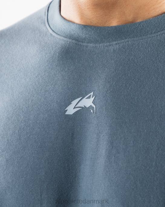 justeret t-shirt Mænd Alphalete J8D2497 tøj gletsjerblå