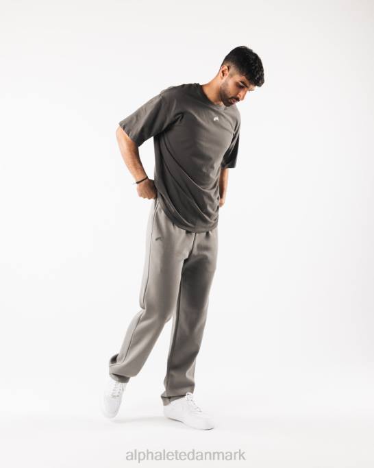 justeret t-shirt Mænd Alphalete J8D2501 tøj tinbrun