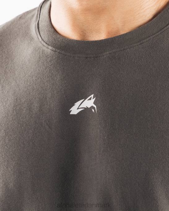 justeret t-shirt Mænd Alphalete J8D2501 tøj tinbrun