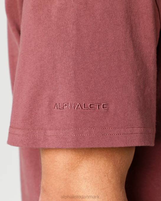 kraftig bomuldstrøje Mænd Alphalete J8D2547 tøj efterårsrød