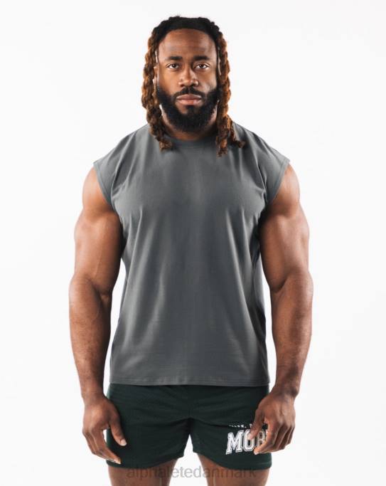 børstet ulv hoved muskel tank Mænd Alphalete J8D2586 tøj røg grå
