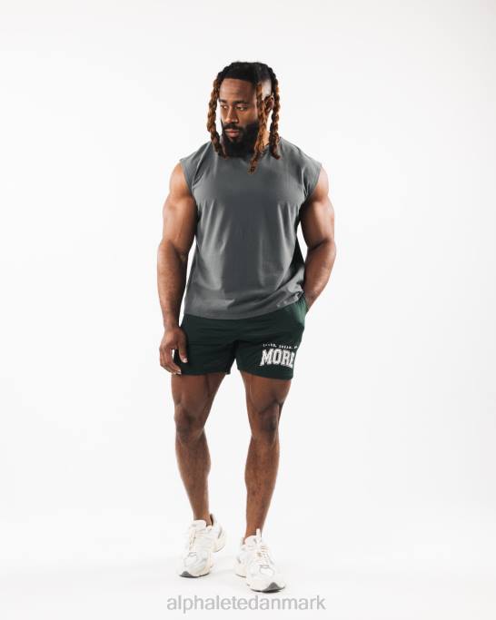 børstet ulv hoved muskel tank Mænd Alphalete J8D2586 tøj røg grå