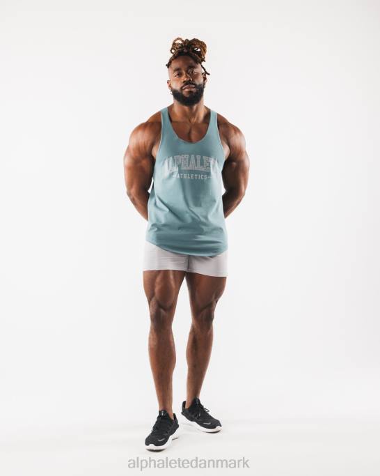 paisley print råskåret tank Mænd Alphalete J8D2580 tøj turkis blå