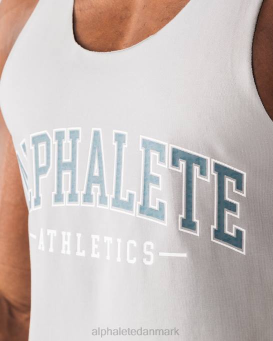 paisley print råskåret tank Mænd Alphalete J8D2581 tøj atletisk grå