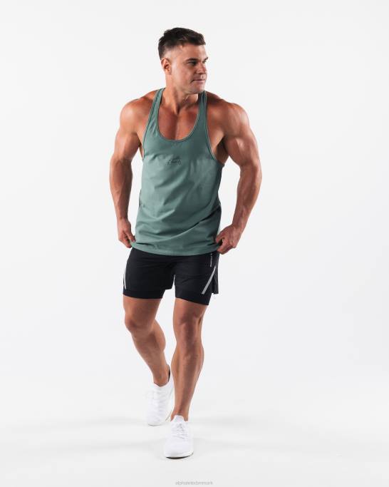 ulv hovedstrenger Mænd Alphalete J8D2561 tøj salvie grøn