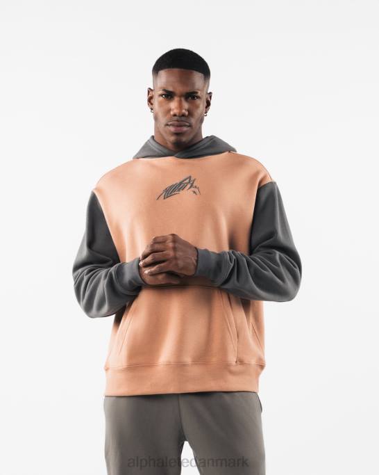 stencil hættetrøje unisex Alphalete J8D2270 tøj lerbrun