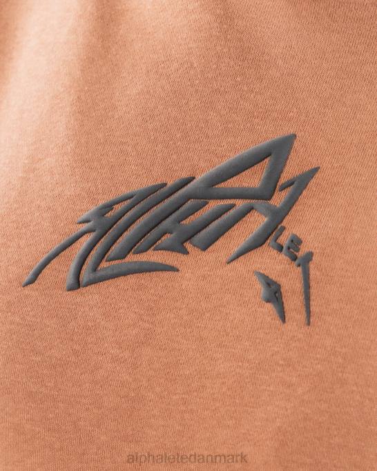 stencil hættetrøje unisex Alphalete J8D2270 tøj lerbrun