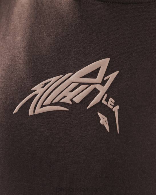 stencil hættetrøje unisex Alphalete J8D2271 tøj kashmir brun