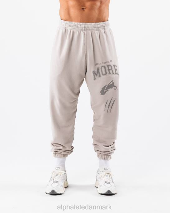 Earth dye grafisk jogger unisex Alphalete J8D2455 tøj sølvgrå