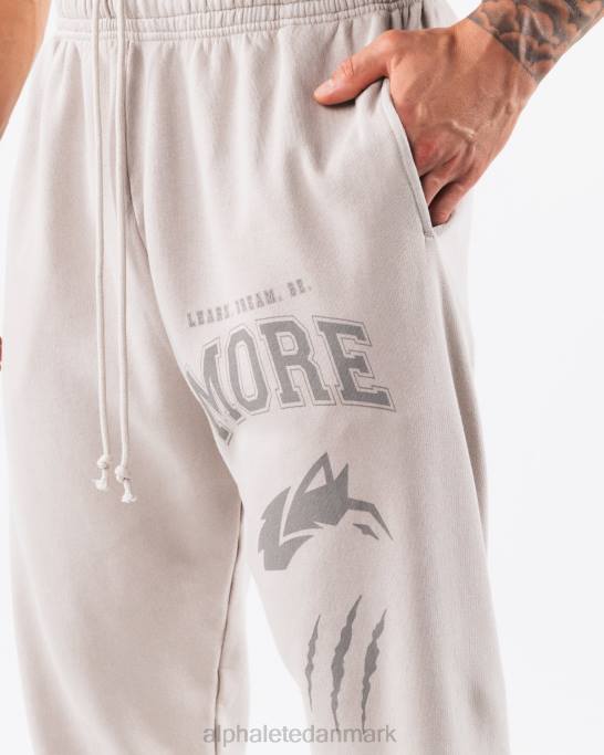 Earth dye grafisk jogger unisex Alphalete J8D2455 tøj sølvgrå