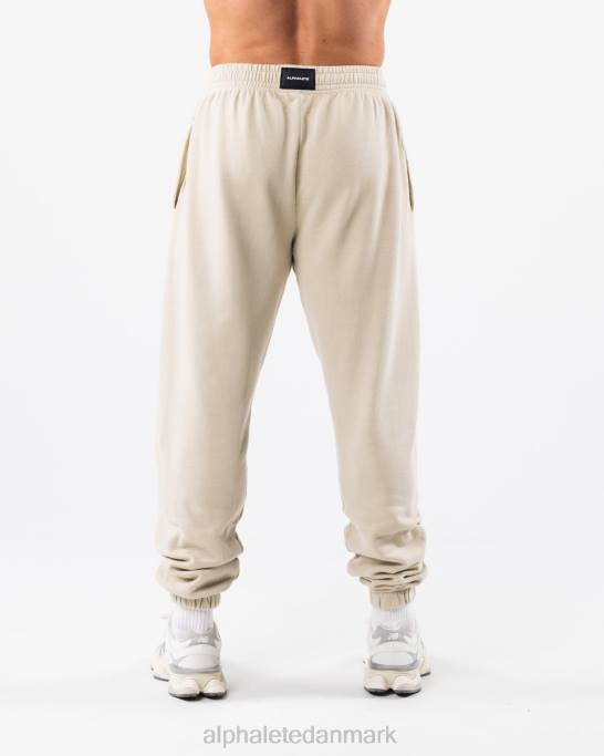 Earth dye grafisk jogger unisex Alphalete J8D2456 tøj skal brun