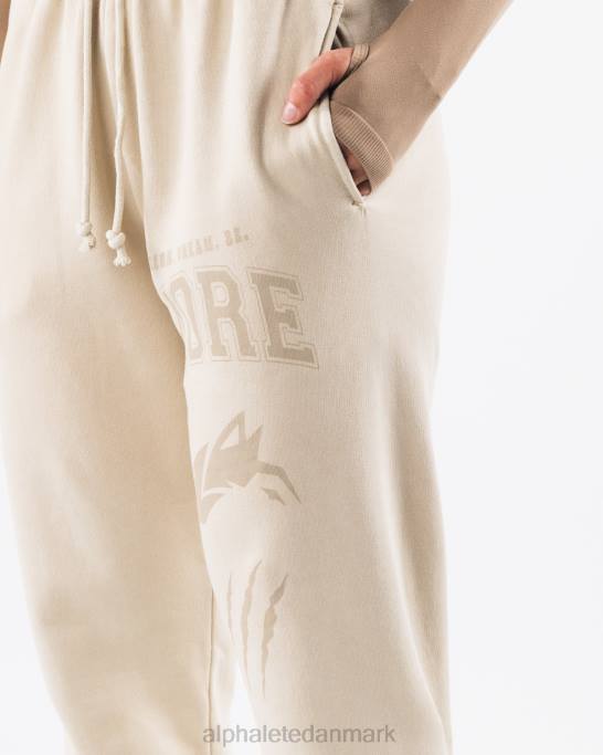 Earth dye grafisk jogger unisex Alphalete J8D2456 tøj skal brun