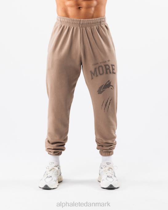 Earth dye grafisk jogger unisex Alphalete J8D2457 tøj mudstone brun