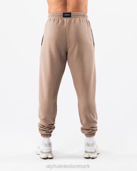 Earth dye grafisk jogger unisex Alphalete J8D2457 tøj mudstone brun