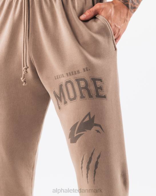 Earth dye grafisk jogger unisex Alphalete J8D2457 tøj mudstone brun