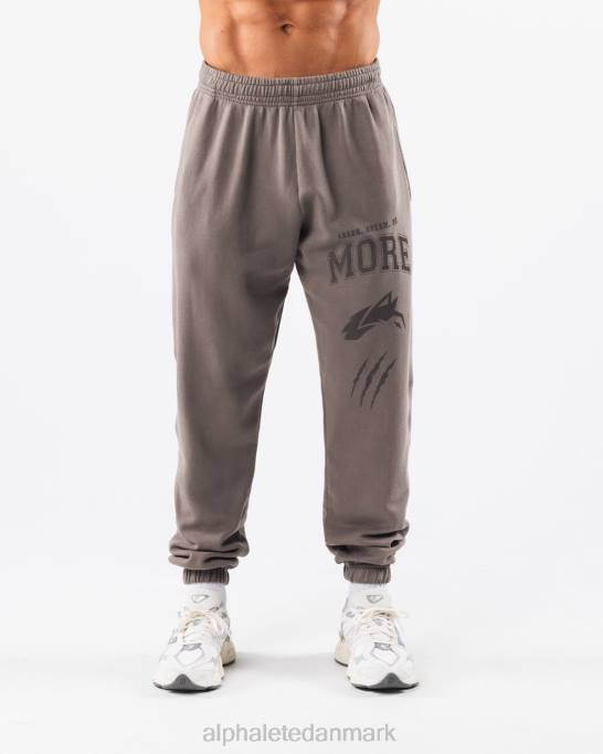 Earth dye grafisk jogger unisex Alphalete J8D2458 tøj askegrå