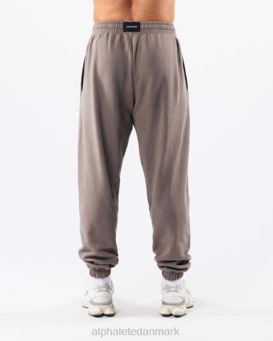 Earth dye grafisk jogger unisex Alphalete J8D2458 tøj askegrå