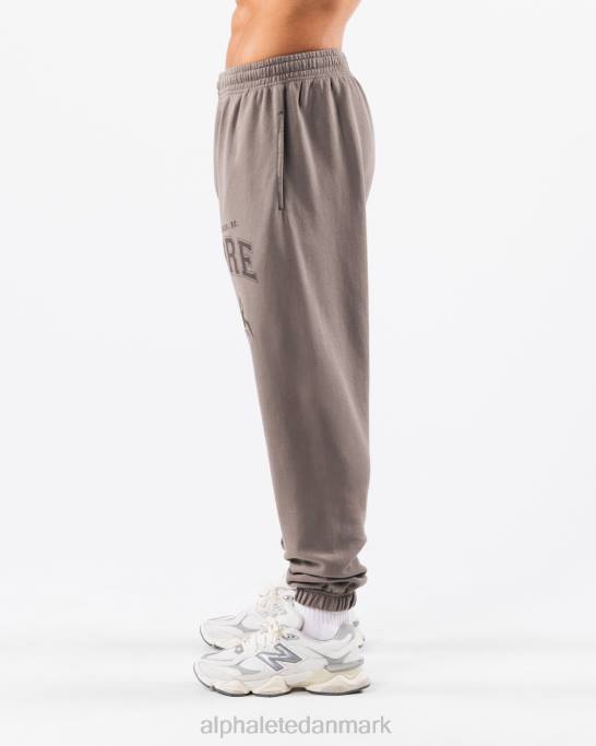 Earth dye grafisk jogger unisex Alphalete J8D2458 tøj askegrå