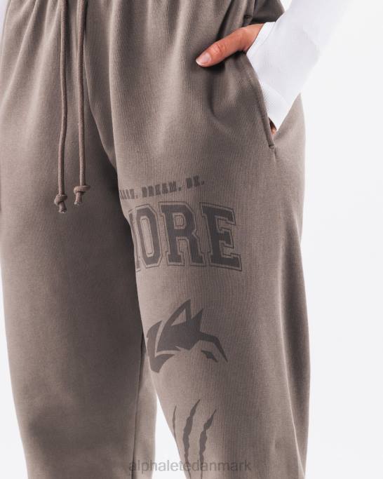Earth dye grafisk jogger unisex Alphalete J8D2458 tøj askegrå
