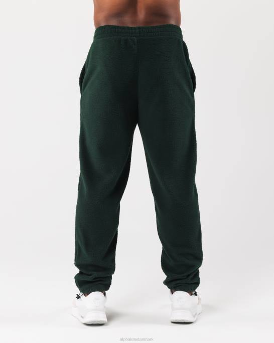 konge jogger unisex Alphalete J8D2486 tøj stedsegrøn grøn
