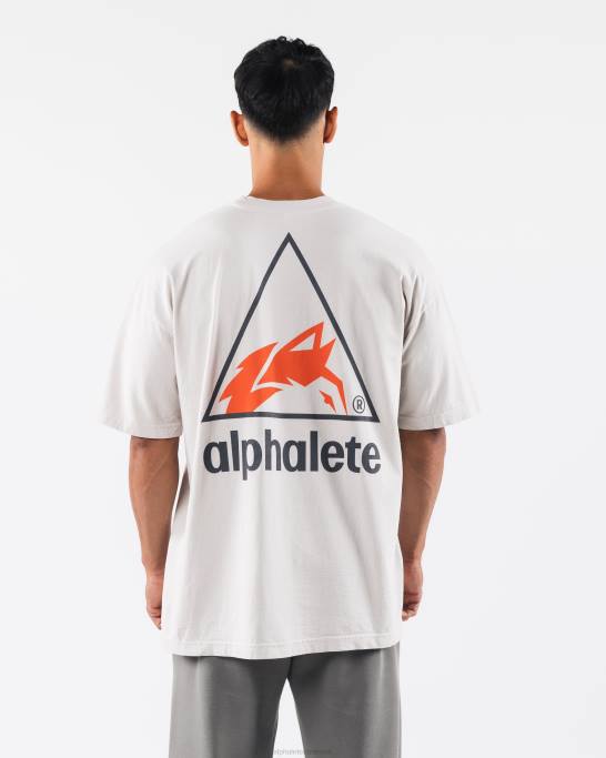 crest tee unisex Alphalete J8D2177 tøj cementgrå