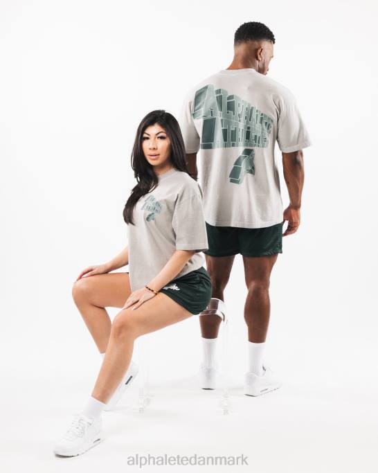 dimensionel t-shirt unisex Alphalete J8D2545 tøj mørke sølvgrå