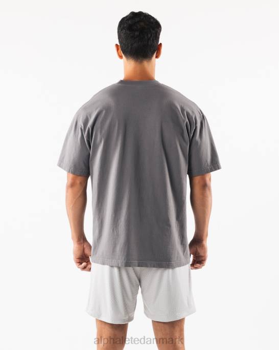 pumpe universitet t-shirt unisex Alphalete J8D2229 tøj koksgrå